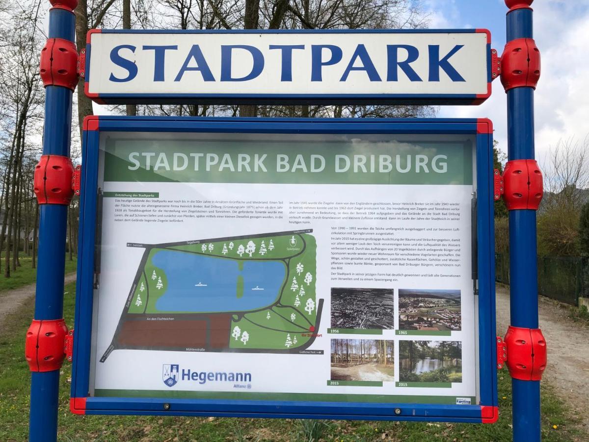 Exklusives Wohnen Am Stadtpark Bad Driburg Exterior foto