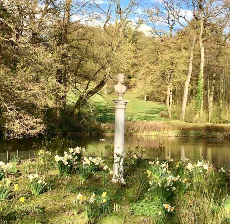 Exklusives Wohnen Am Stadtpark Bad Driburg Exterior foto